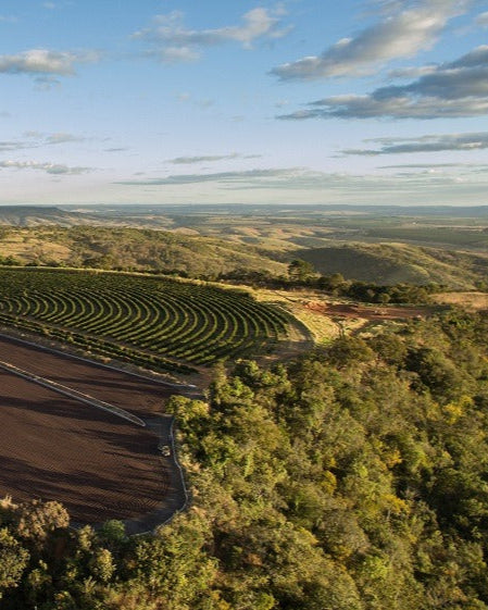 ØRIGEM ESPRESSO 250G